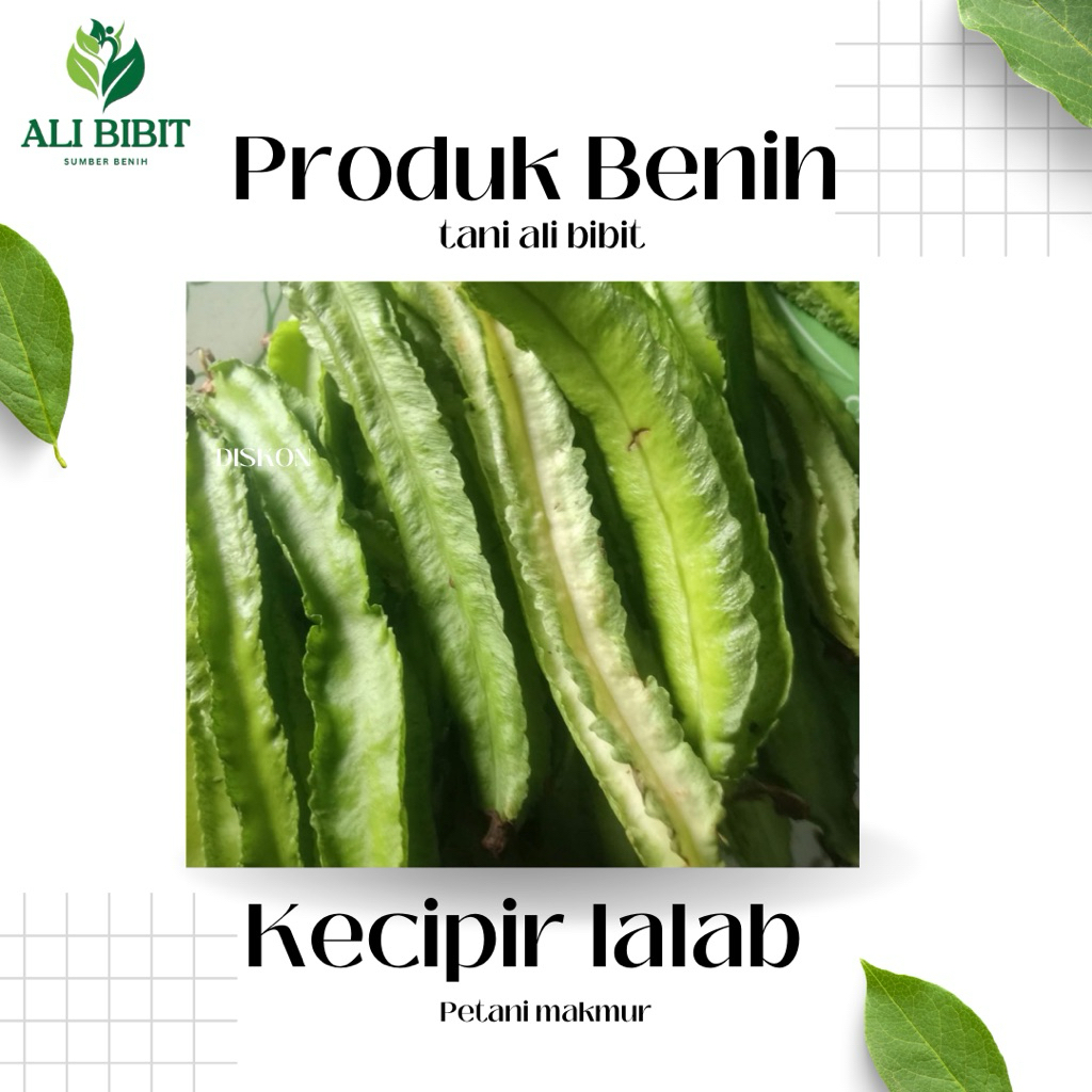 10 Butir> Benih Biji Kecipir Lalap> Kecipir Lalap >Bonus Benih