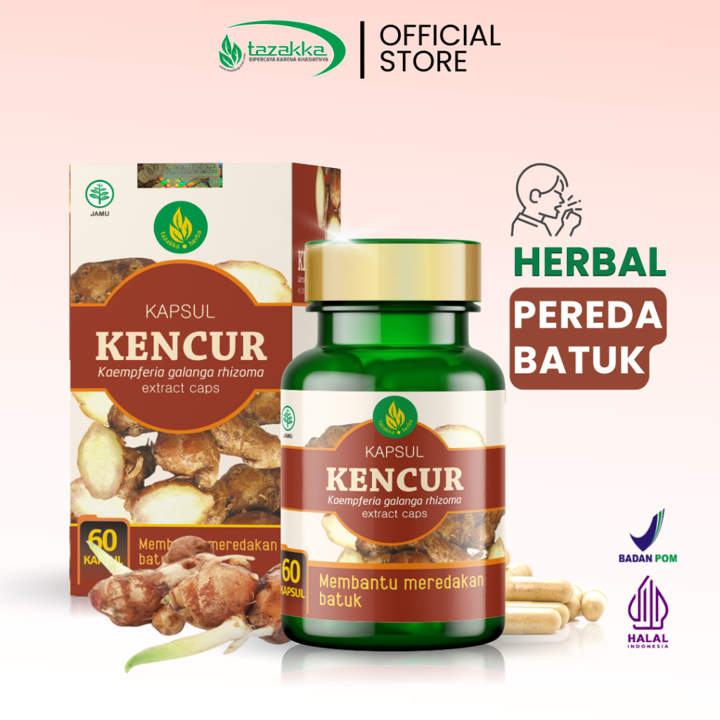 TAZAKKA Ekstrak Kapsul Kencur Bubuk Kering Murni Pil Obat Herbal Batuk Kering Berdahak Anti Radang