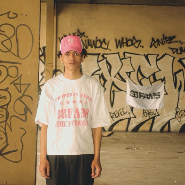 BOXY TEE 20S 88FAMS - PROPERTY