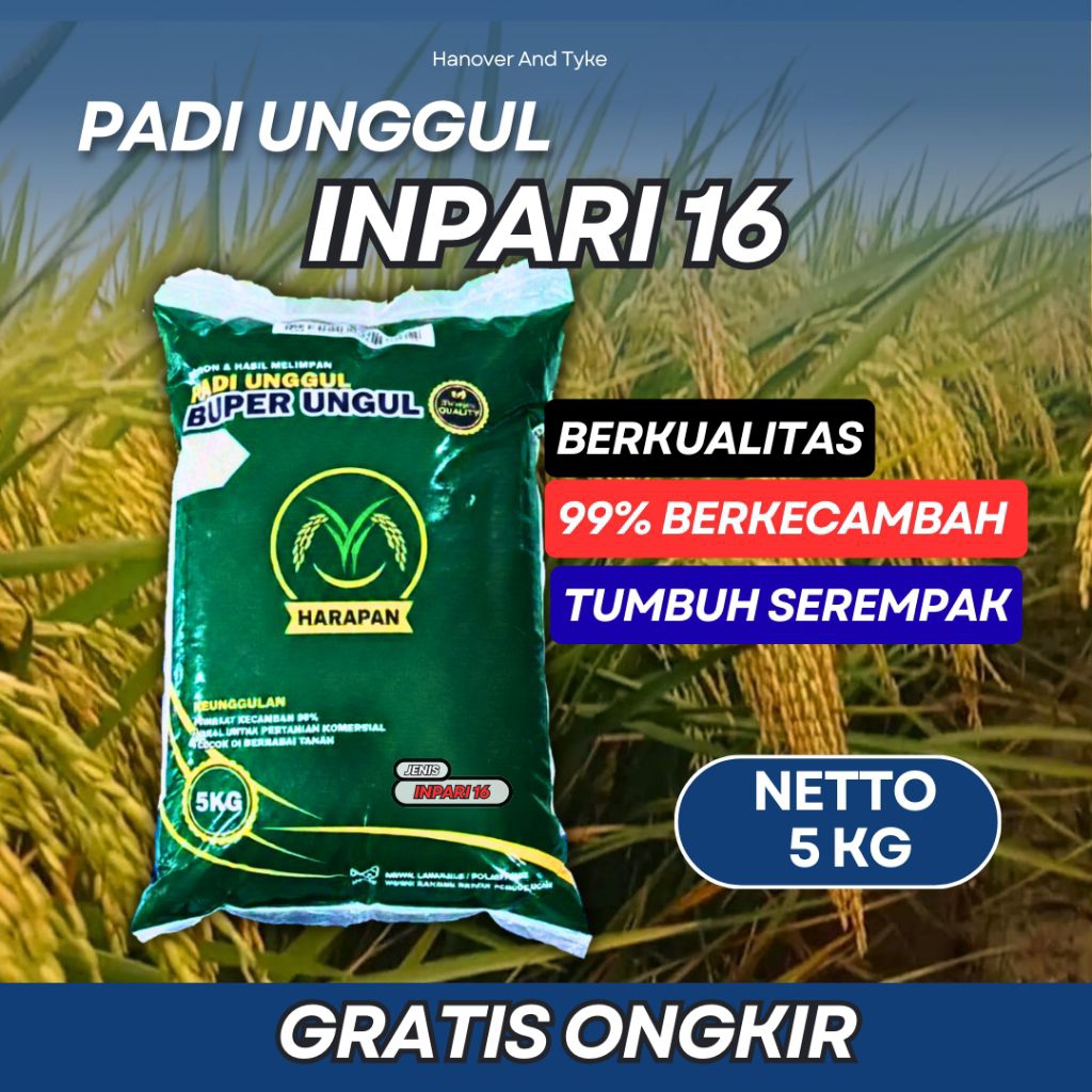 benih padi INPARI 16 kemasan 5KG asli