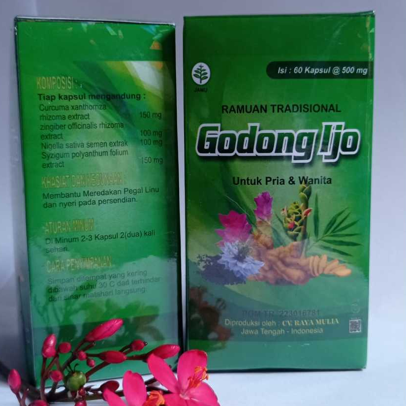 BPOM Godong Ijo Asli Original 60 Kapsul Jamu Herbal Sendi Otot Dan Asam Urat Bersegel Resmi