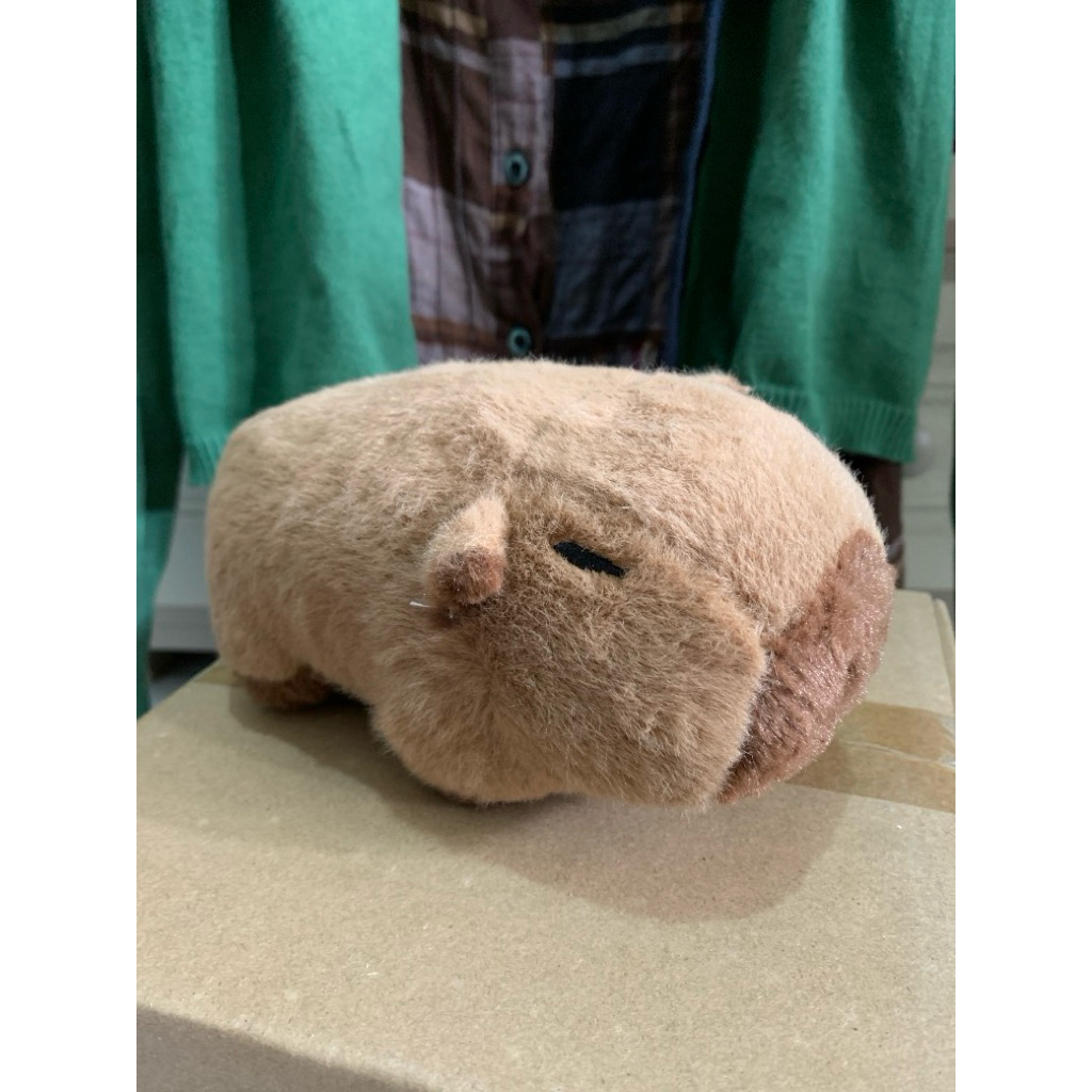TAKE ALL Boneka Cappybara
