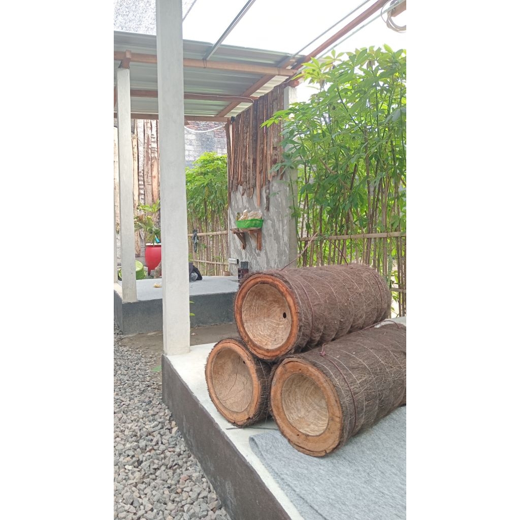 jebakan lebah/sarang lebah apis cerana