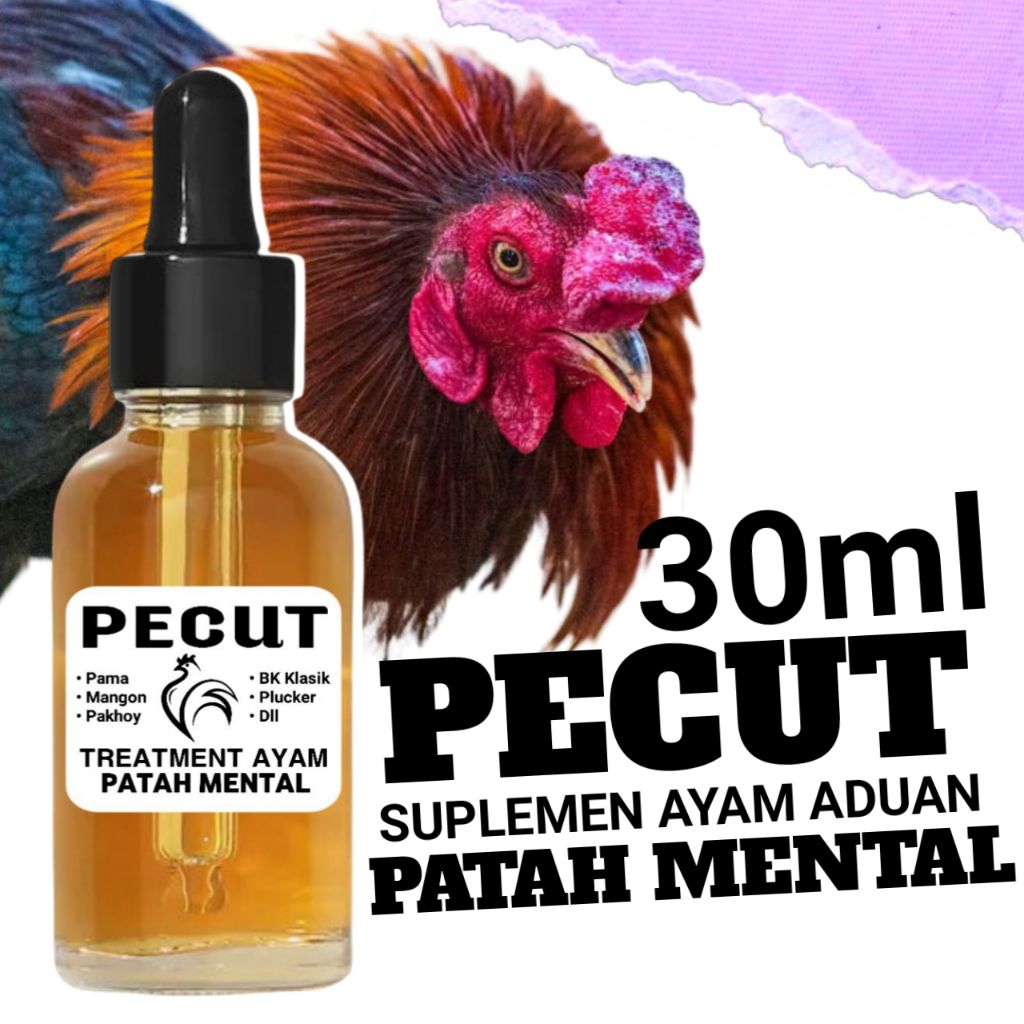 Peningkat agresif ayam jantan penakut