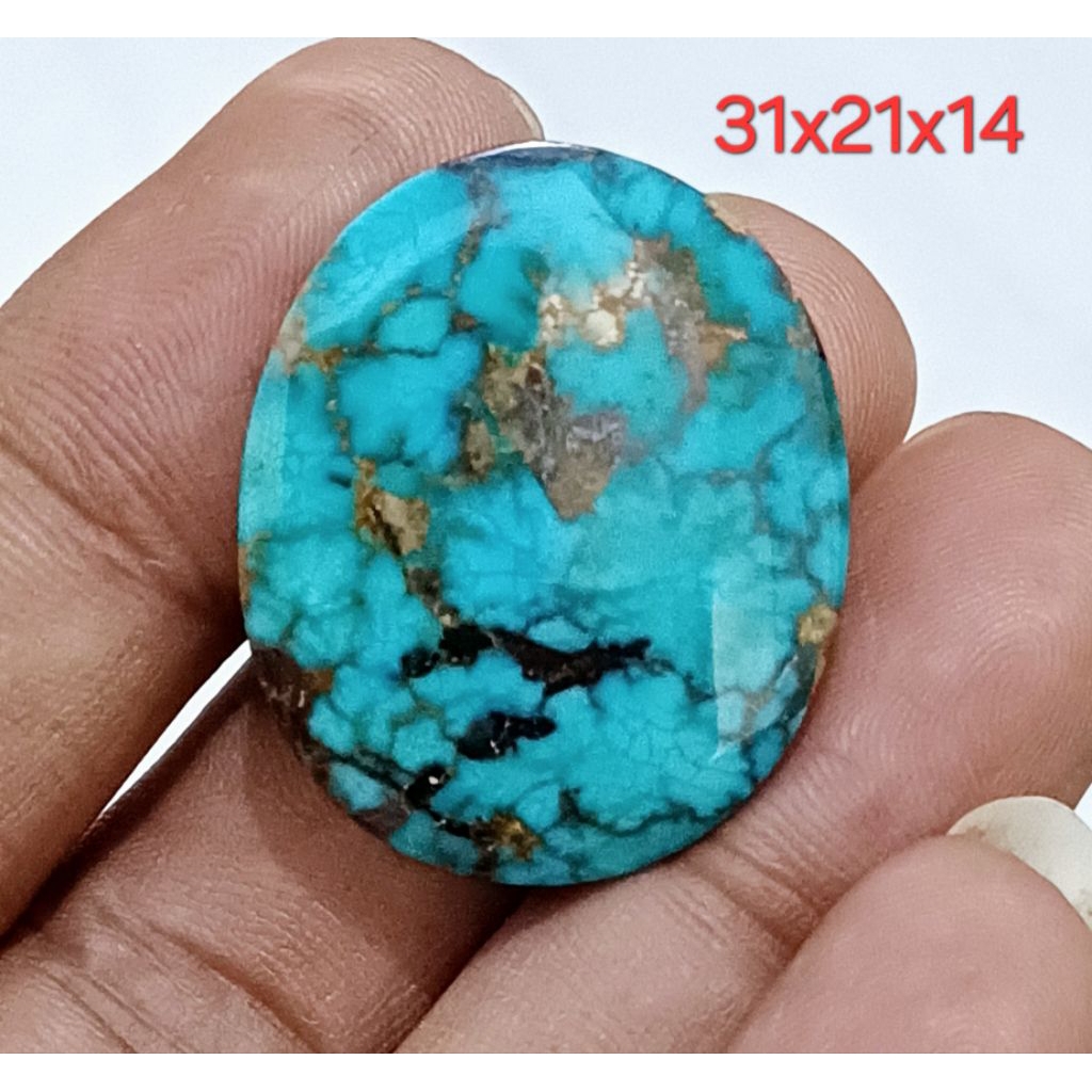 Pirus Persia lawasan gradasi Jumbo 2028