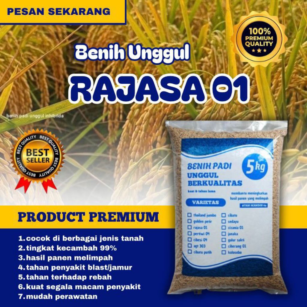 Benih padi RAJASA 01 original kemasan 5kg