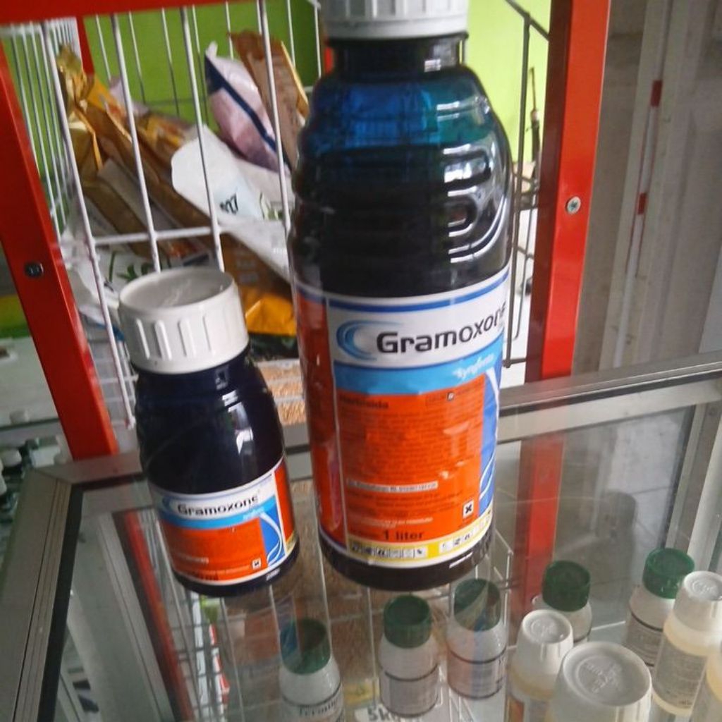 Herbisida kontak Gramoxone