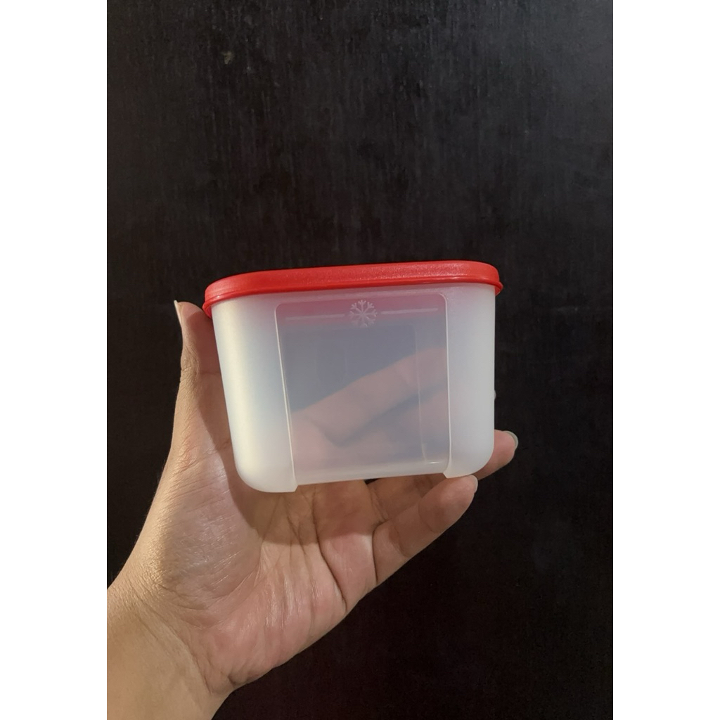 Mini Freezer Impor (1) 300ML Tupperware