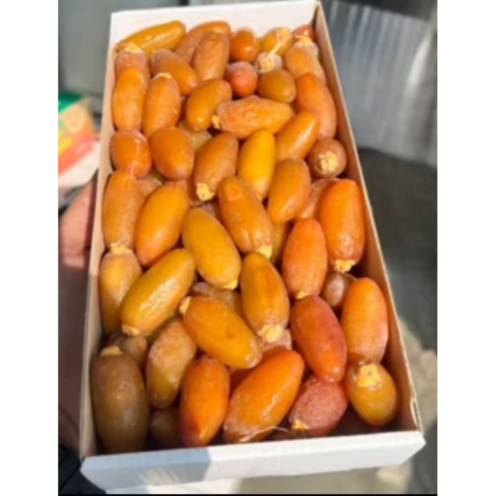 Kurma Ruthab Basah Fresh Frozen 1kg Kurma Arab Manis Lembut
