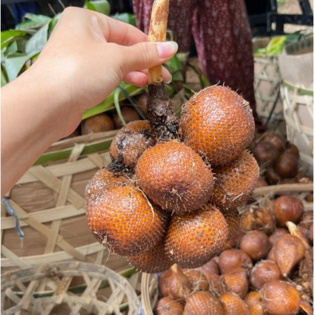 Salak Bali/Salak Porong