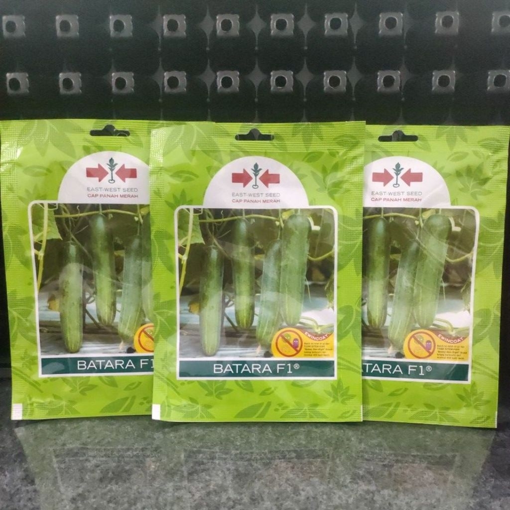 Benih Timun Batara F1 panah merah