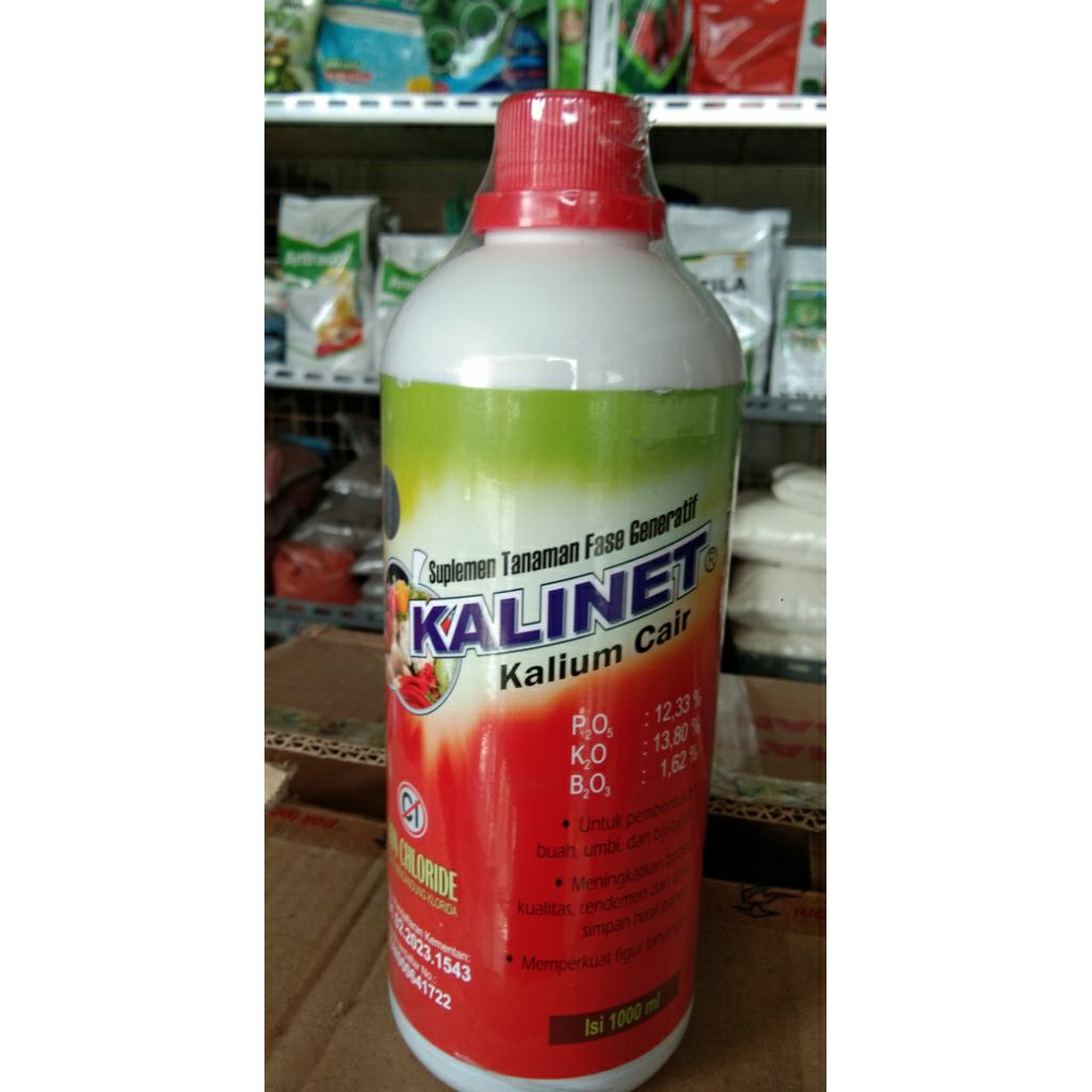 Kalinet