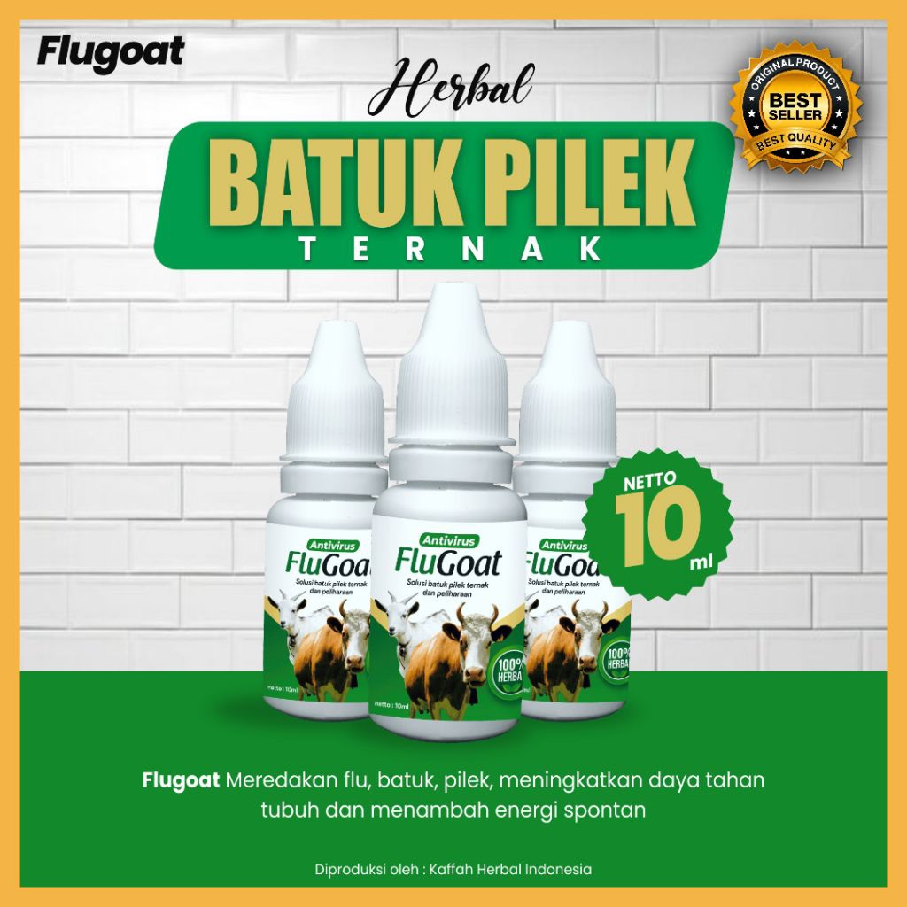 PALING MURAH !! Obat Flu Sapi Qurban