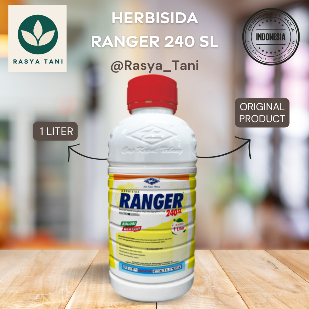 Herbisida RANGER 240SL - Obat Rumput Tuntas