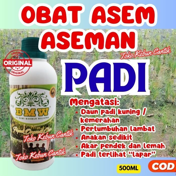 POC BMW Pupuk Padi Asem-Aseman | Obat Padi Kuning & Akar Lemah