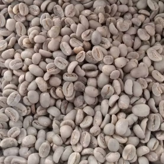 Green bean/Biji Kopi Arabika Luwak liar 1kg Cibunar Linggajati Kuningan Jawa Barat gunung Ciremai