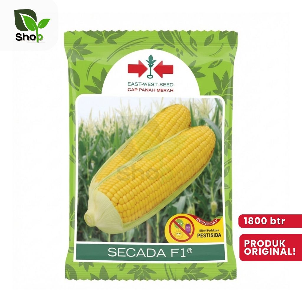 Benih Jagung Manis Secada F1 1.800 butir
