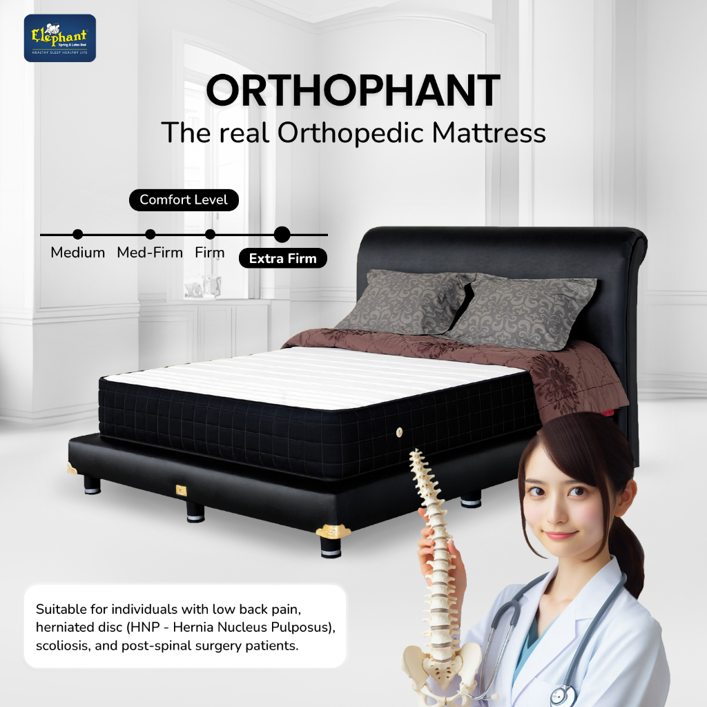 Springbed Orthopedic Elephant