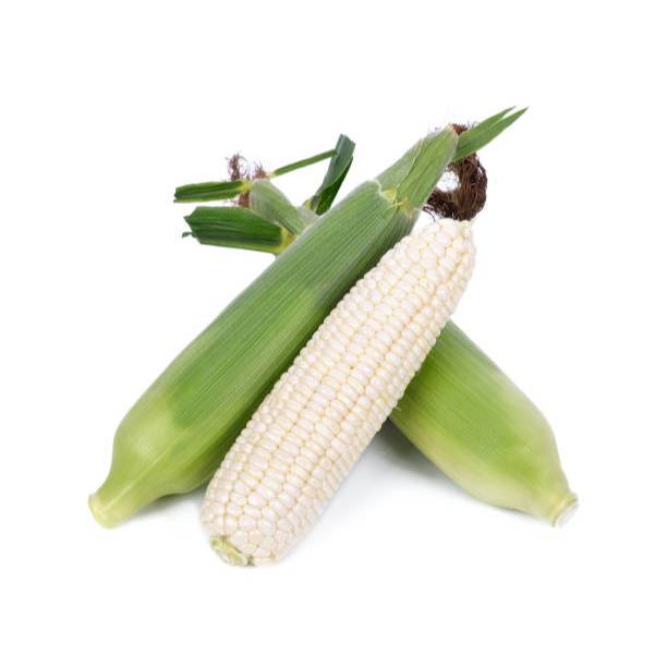 COD - BENIH JAGUNG KETAN PUTIH