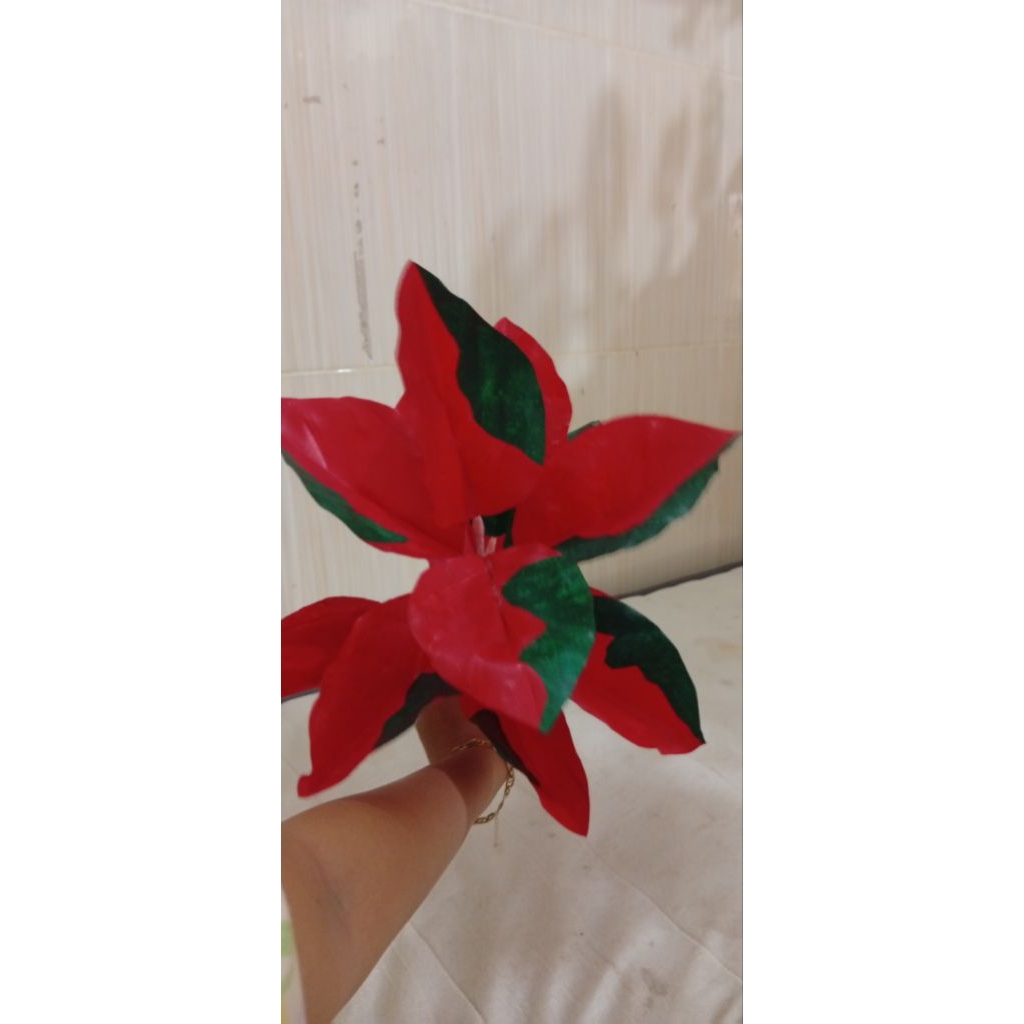 bunga aglonema suksom plastik