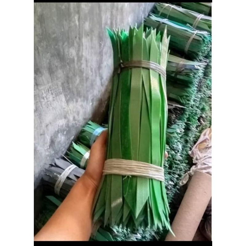 PASAK MULSA/SUJEN PENJEPIT MULSA 1KG