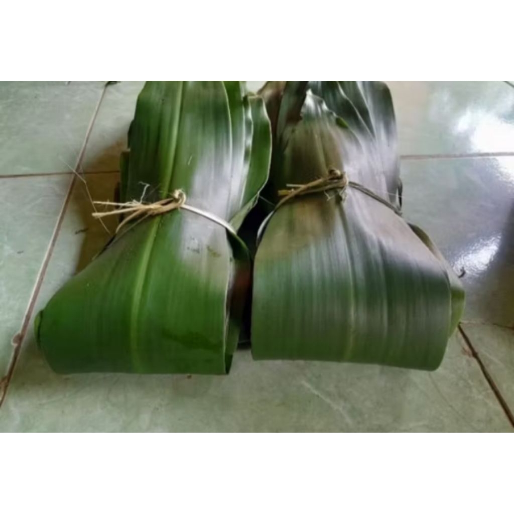 Daun Hanjuang 1 ikat