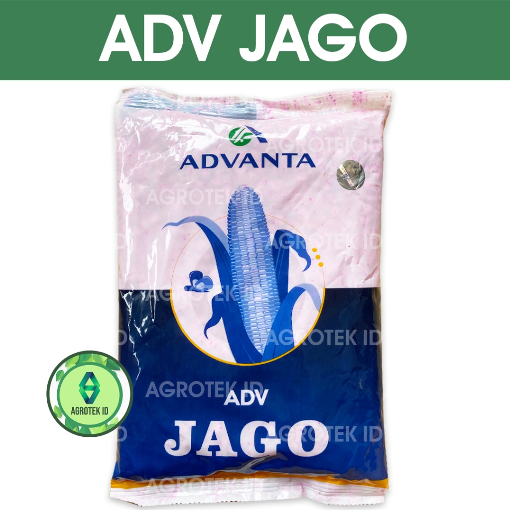 Benih Jagung ADVANTA JAGO 1 Kg