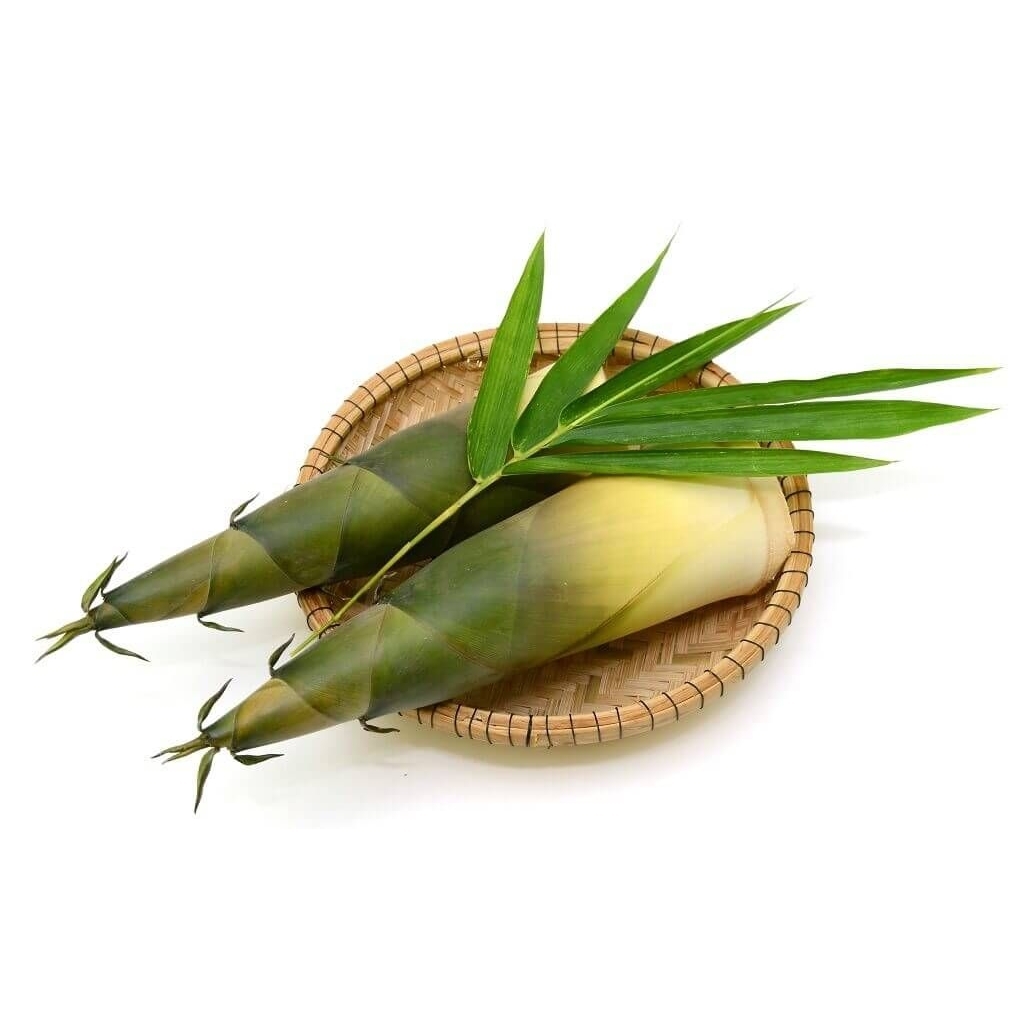 sayur rebung bambu muda