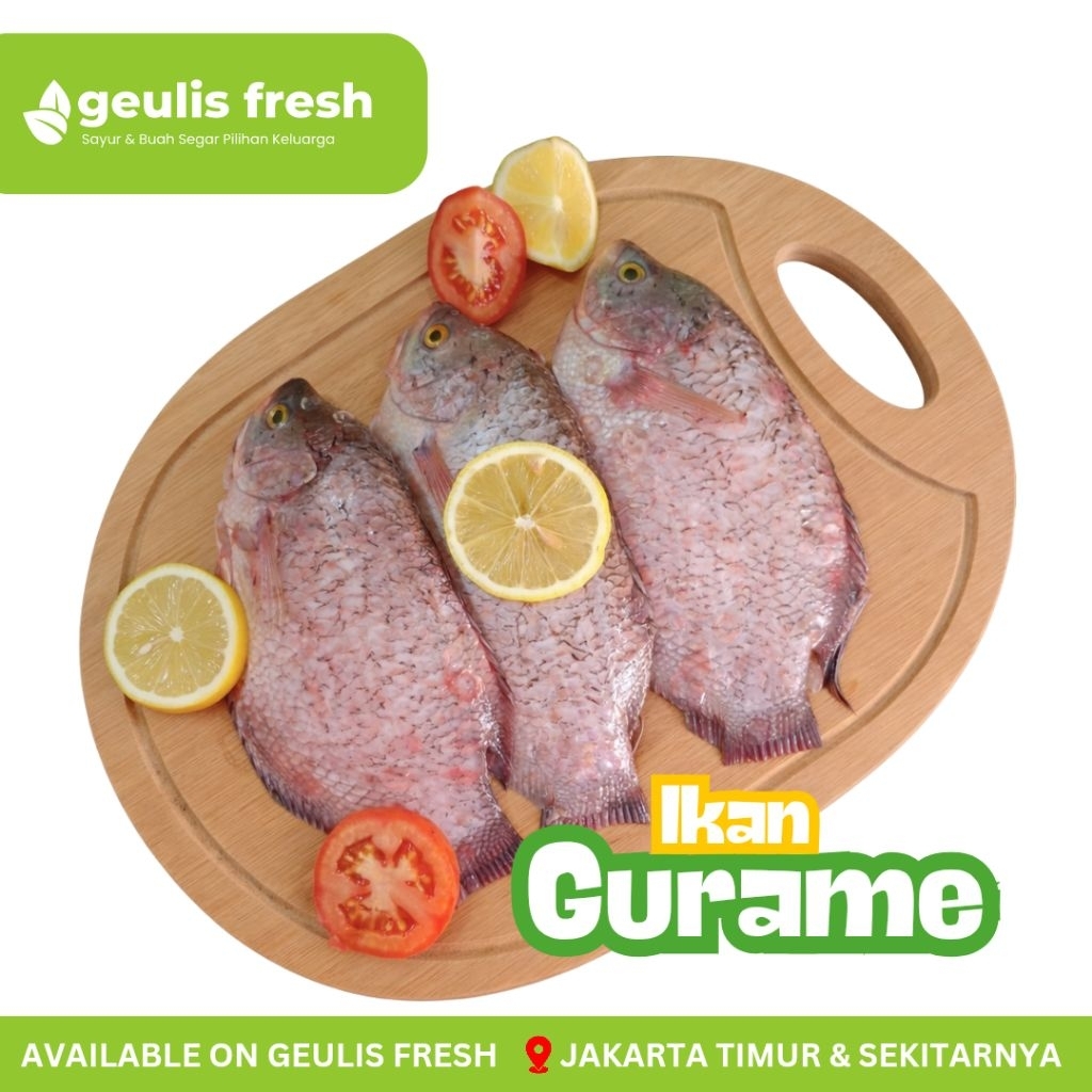 Ikan Gurame Segar ±1kg Ikan Gurame Jumbo | Ikan Segar Jakarta Timur Geulis Fresh