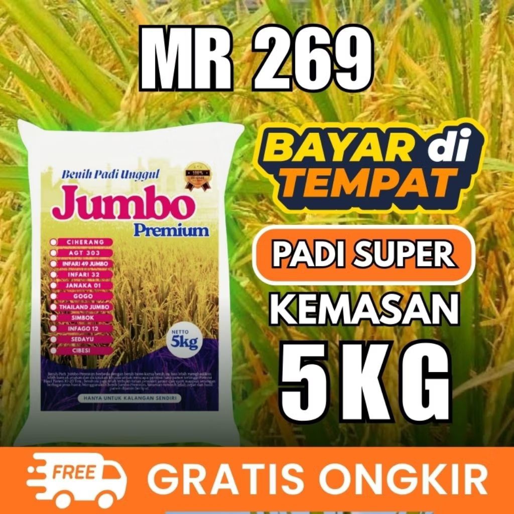 MR 269 benih padi unggul original 5kg