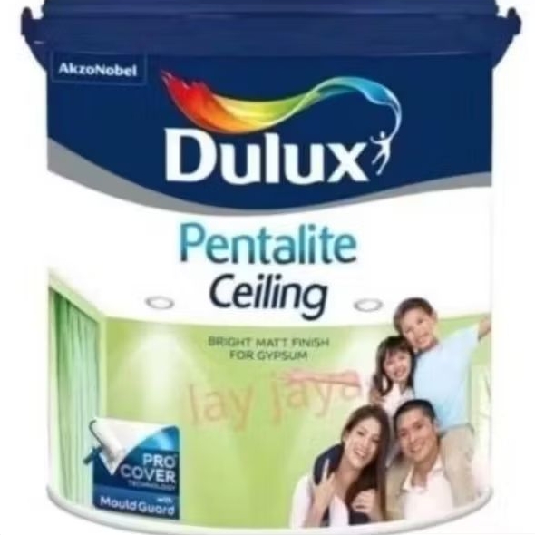 Dulux Pentalite Ceiling 20kg