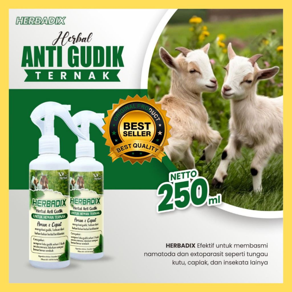 AMPUH  Obat Kudis Ternak Kambing Tanpa Suntik, Obat Kudis Ternak Kambing Herbal
