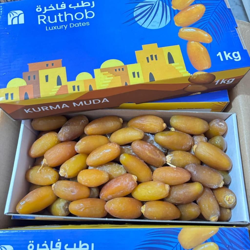 Kurma Progam Hamil Kurma Basah Kurma Muda Ruthob Ruthab Libya 1 Kg Kemasan Dus Asli Ruthob