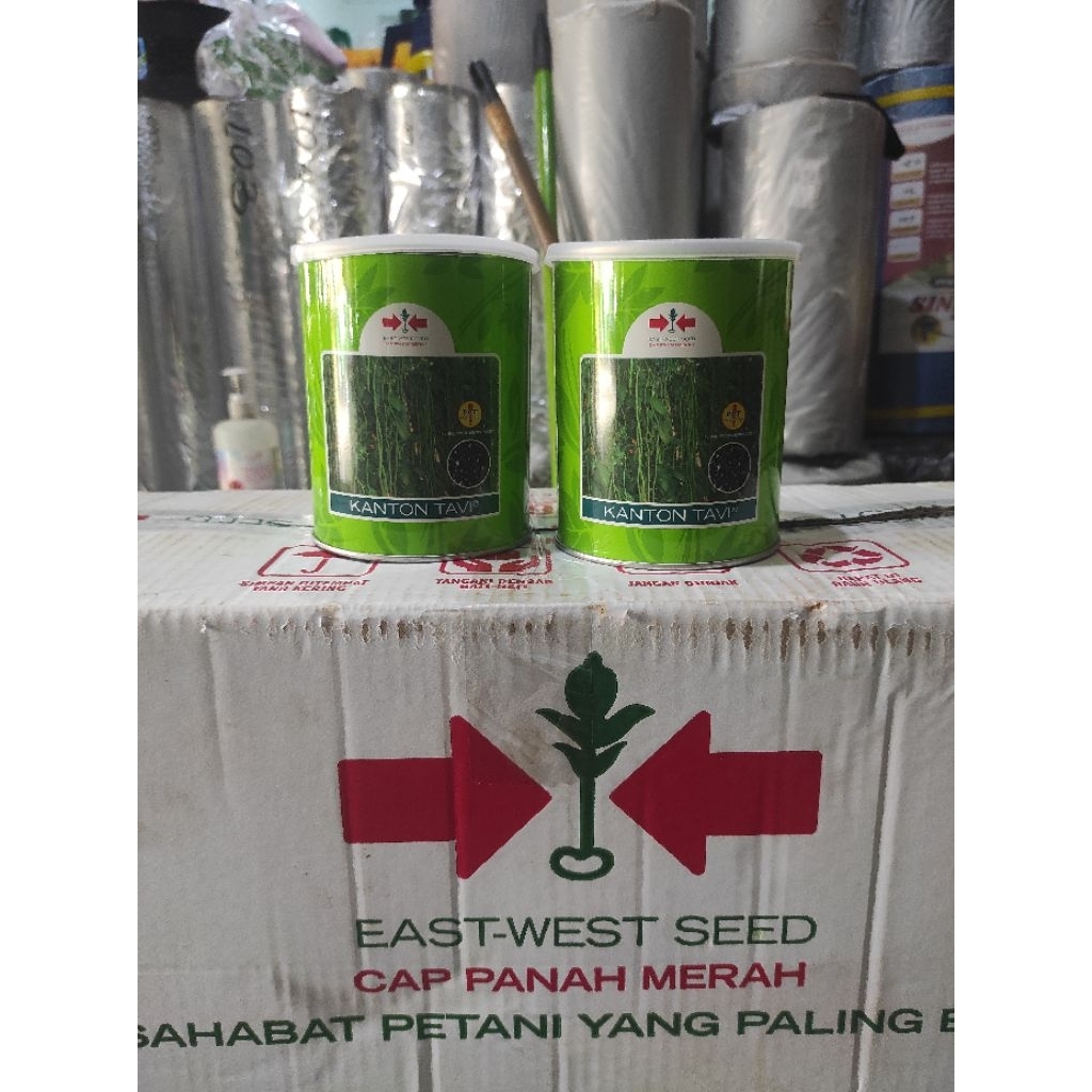 KACANG PANJANG KANTON TAVI 500 GR ORIGINAL KEMASAN KALENG!!