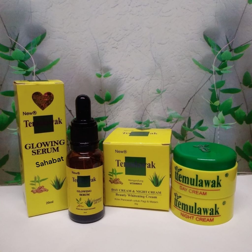 Paket Krim Temulawak New R Herlina 3in1