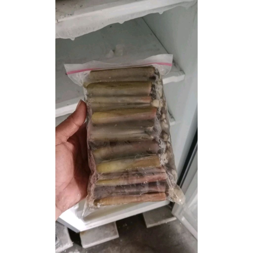 Kerang Bambu Segar kerang bambu Frozen Kerang bambu live kerang hasil laut tangkapan nelayan harian