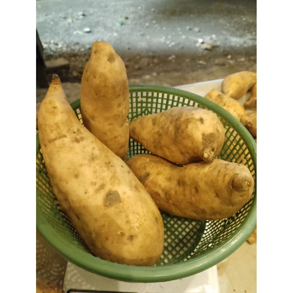 Ubi madu cilembu/ telo madu 1kg isi 9-13 biji