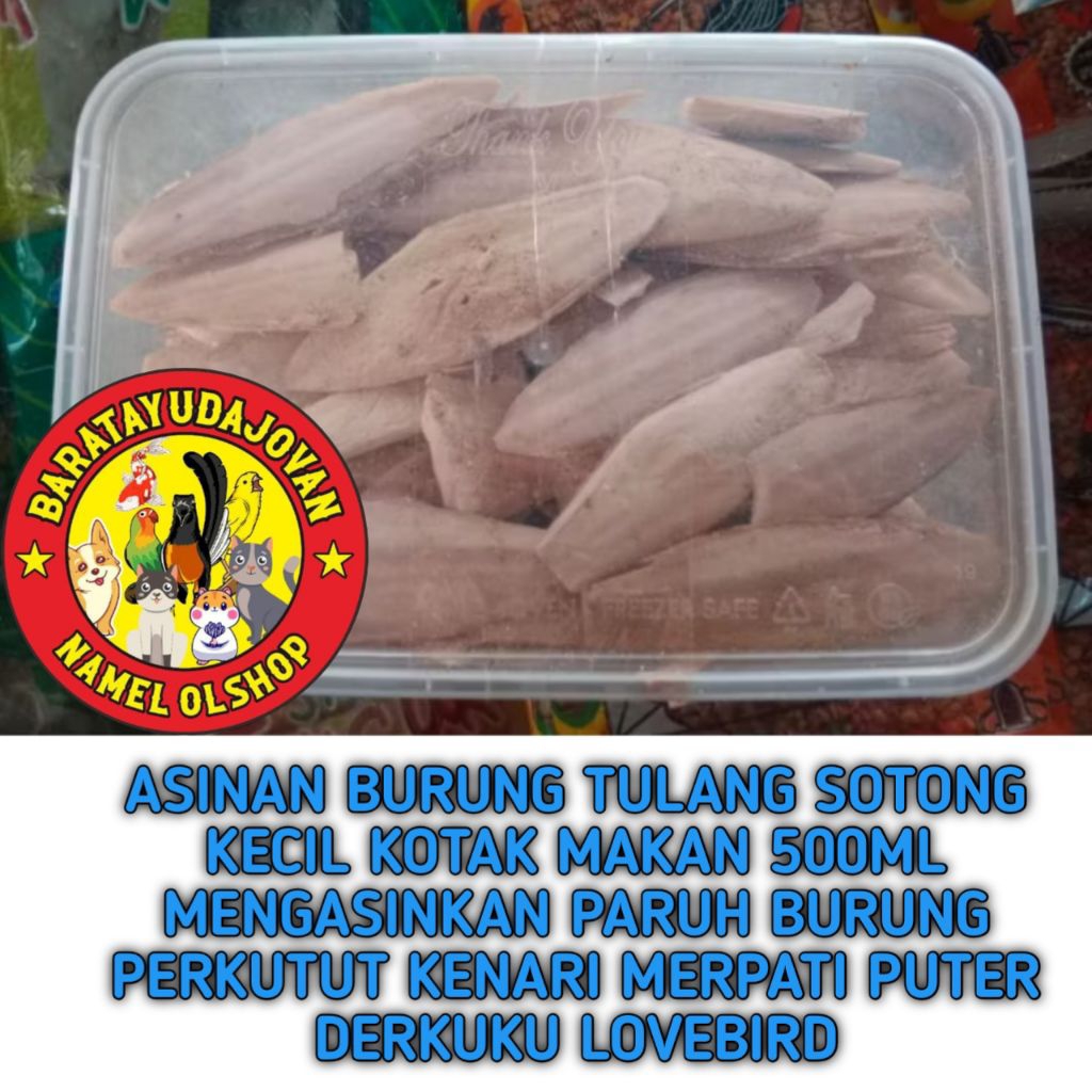 ASINAN BURUNG TULANG SOTONG KECIL KOTAK MAKAN 500ML MENGASINKAN PARUH BURUNG PERKUTUT KENARI MERPATI
