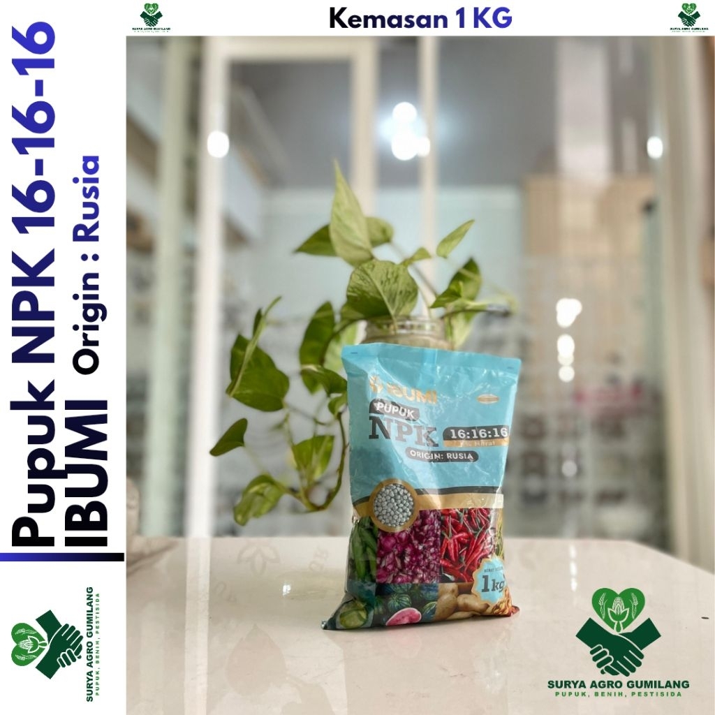 NPK 161616 IBUMI | NPK IBUMI Rusia | Pupuk NPK 161616 kms pabrik 1 Kg