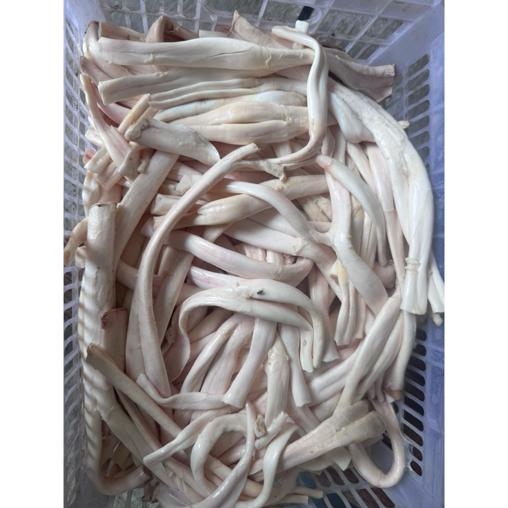 Otot kaki sapi basah/ Urat kaki sapi