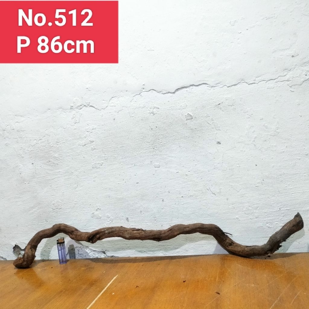 bonggol akar santigi laut 512 akar dekorasi aquascape aquarium