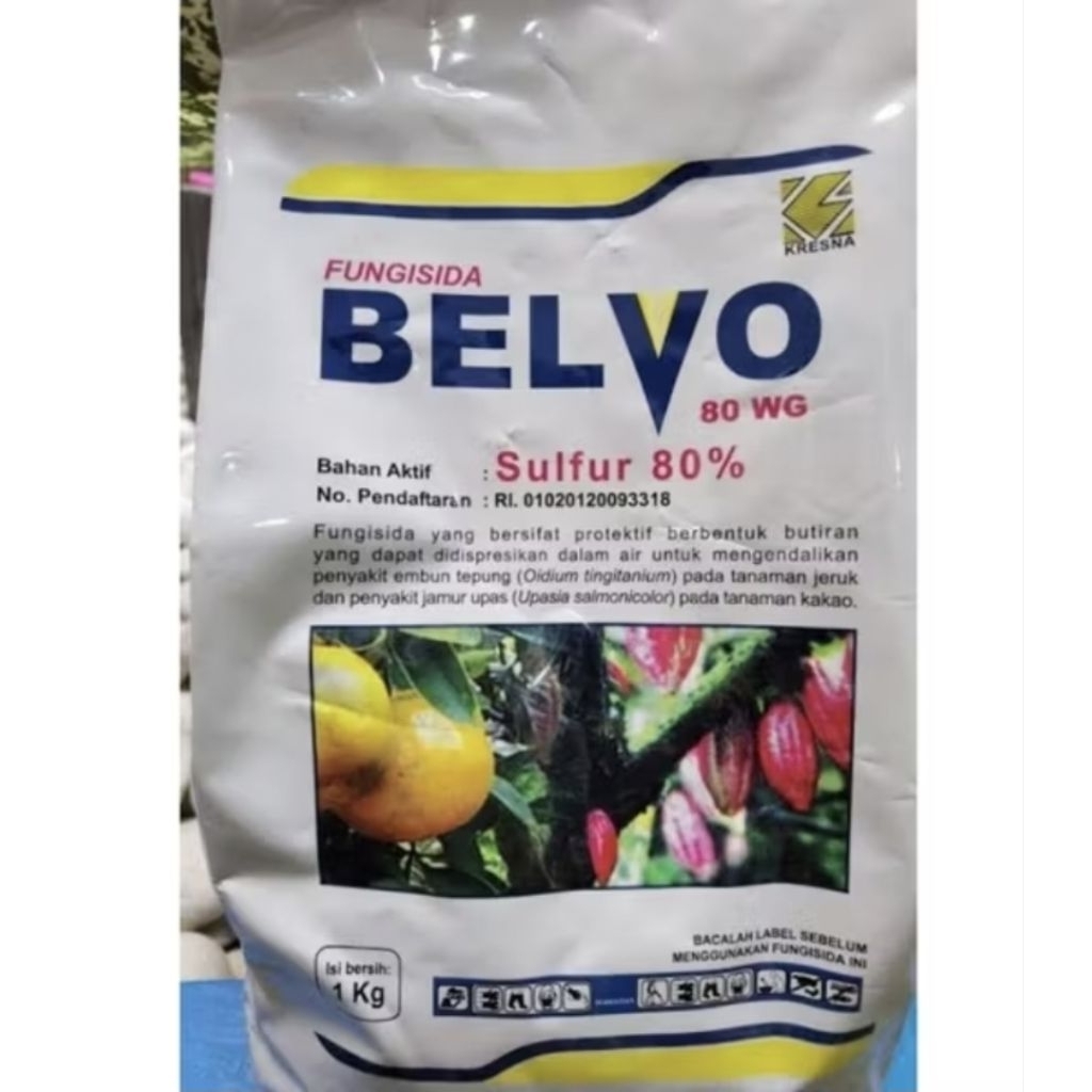 Belvo 80 WG Fungisida Sulfur 80% Mengendalikan penyakit Jamur