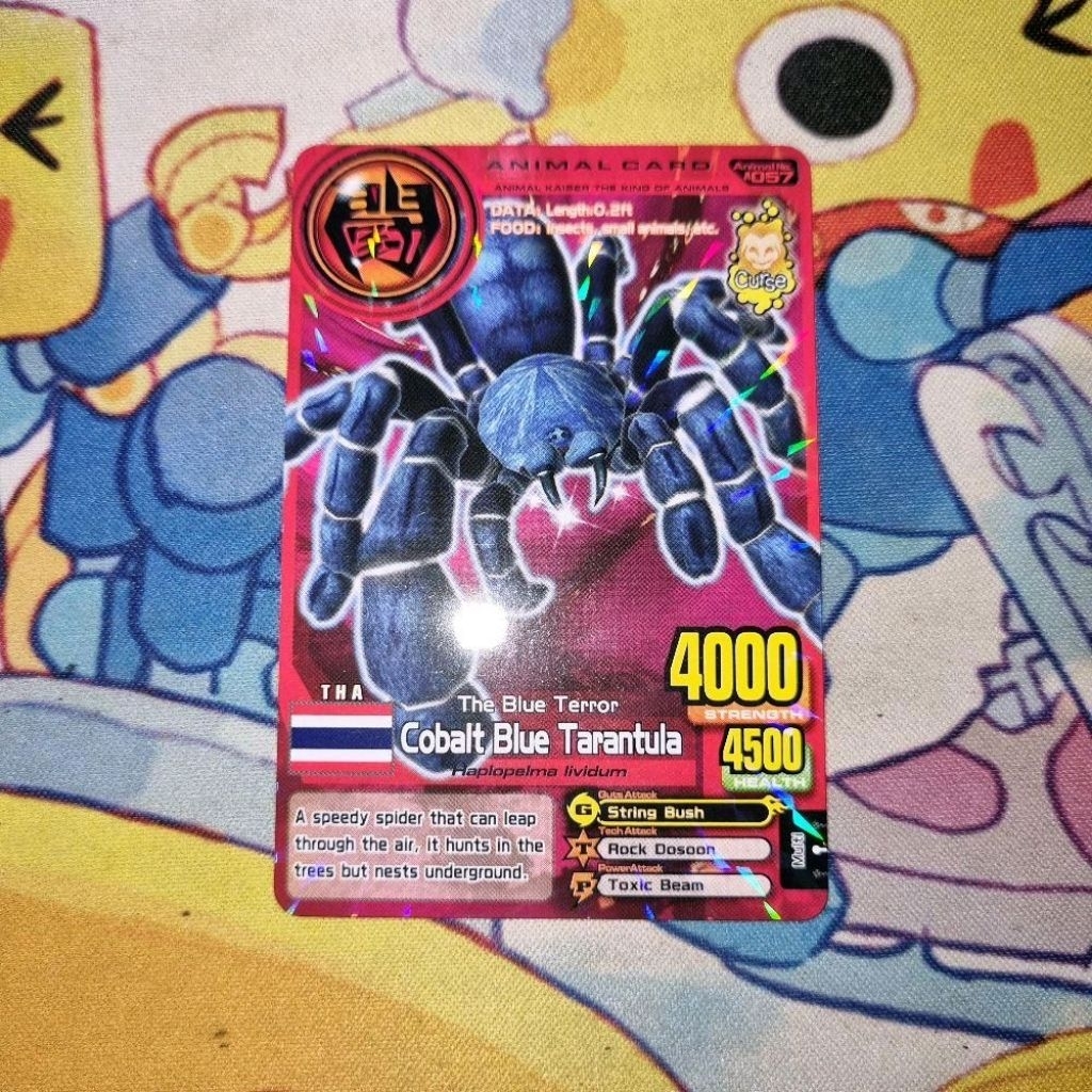 [AK+ Ver. 3] Cobalt Blue Tarantula - Animal Kaiser Plus