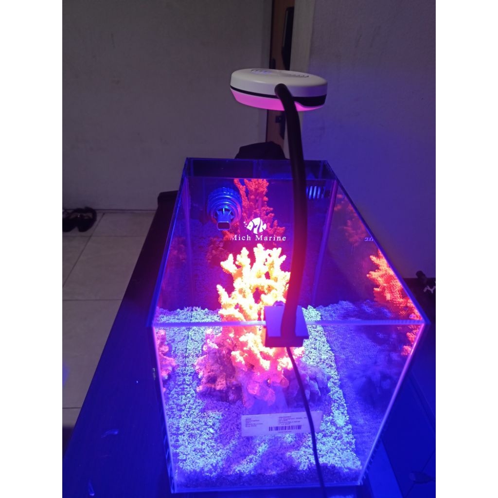 aquarium nano tank optic clear 36cm