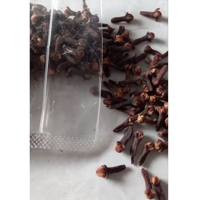 cengkeh kebun|cengkeh kecil 1kg