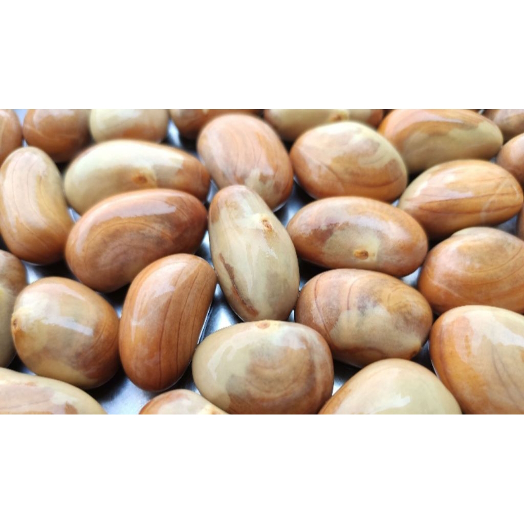 Biji nangka segar 1kg