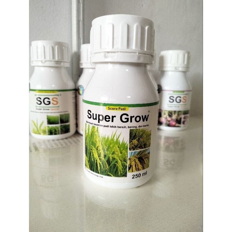 SCORE PADI NUTRISI PADI, HORMON, ZPT, SUPERGROW PADI, SCORE SUPER GROW