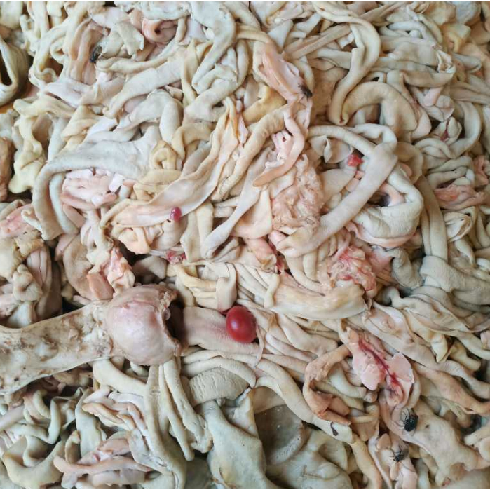 KIRIM INSTAN USUS AYAM MENTAH SEGAR FRESH HALAL 100% 500GR 1KG