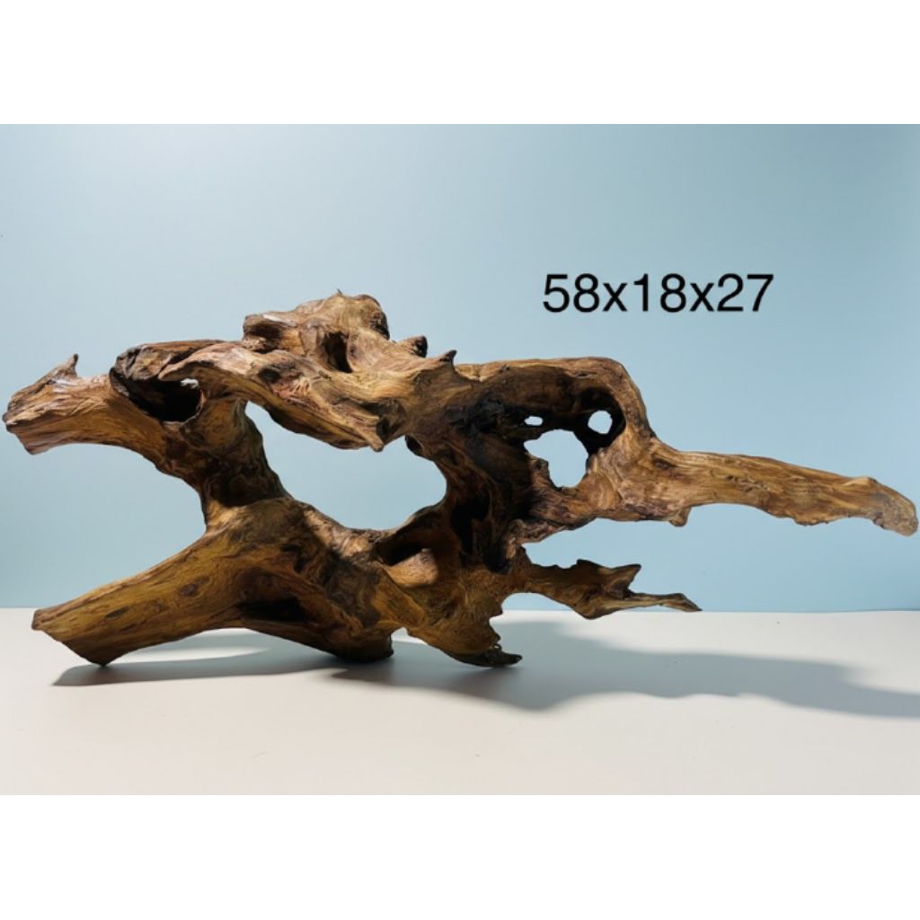 kayu rentek ukuran xl sudah tenggelam