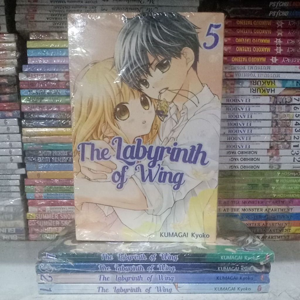 Komik The Labyrinth of Wing 1-5